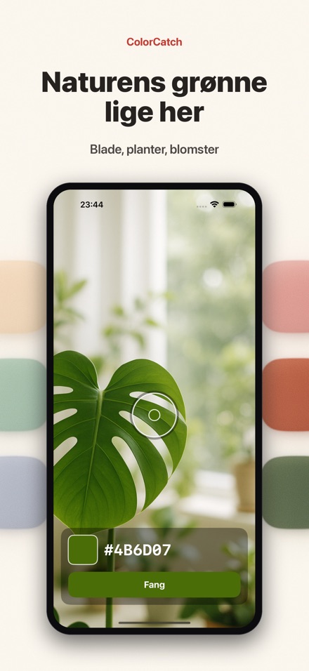 ColorCatch 5