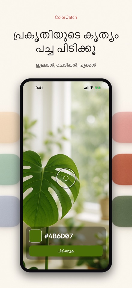 ColorCatch: നിറം പിടിക്കൂ 5