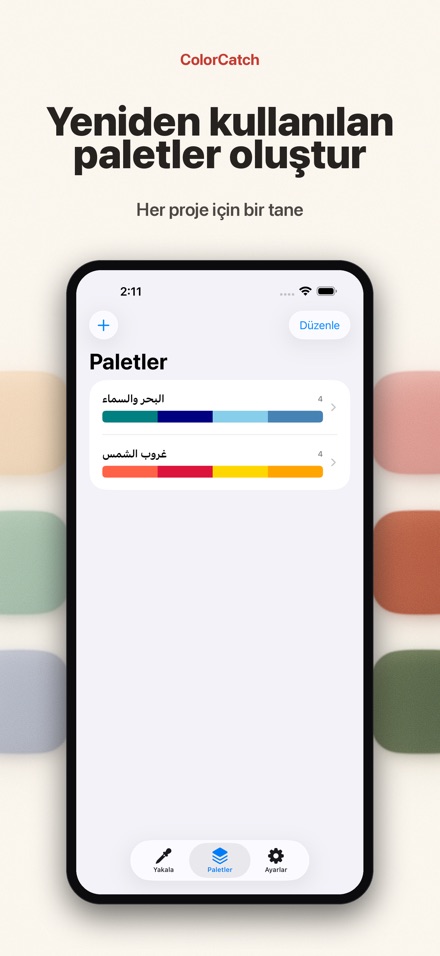 ColorCatch 4