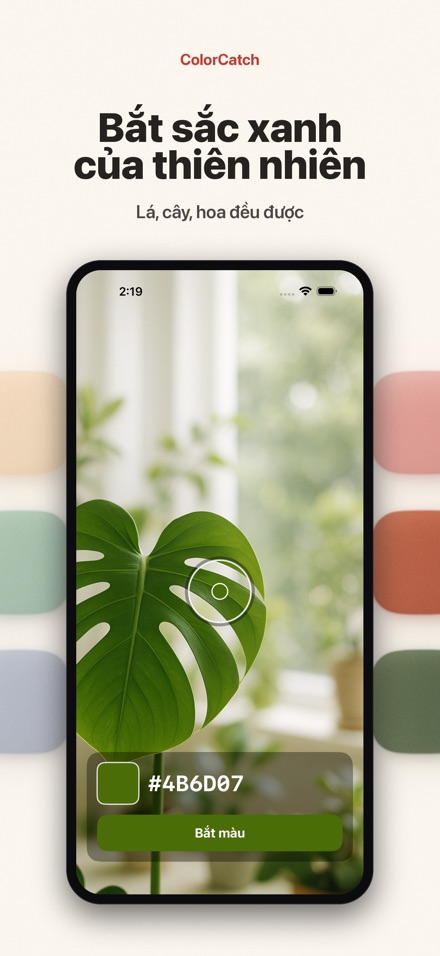 ColorCatch: Bắt màu thực tế 5