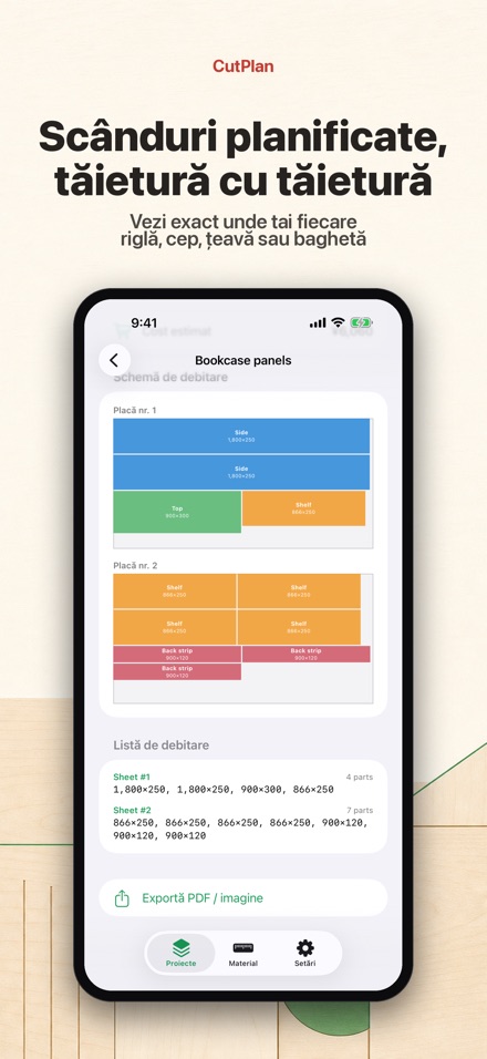 CutPlan: Optimizare debitare 2