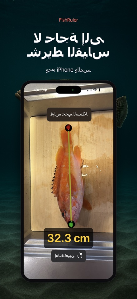 FishRuler: قياس طول السمكة 4