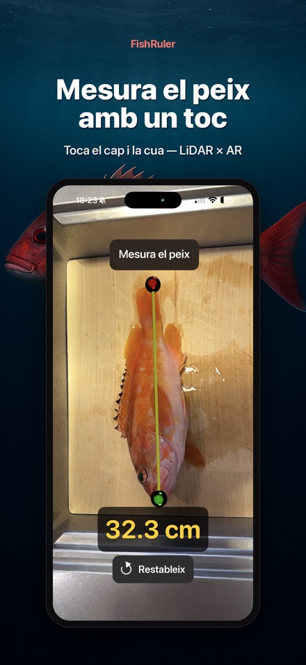 FishRuler: mesura peix AR