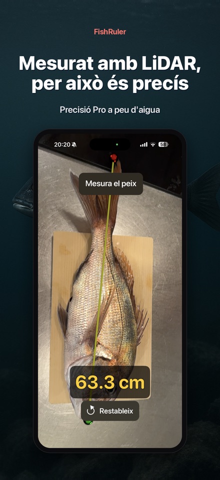 FishRuler: mesura peix AR 6