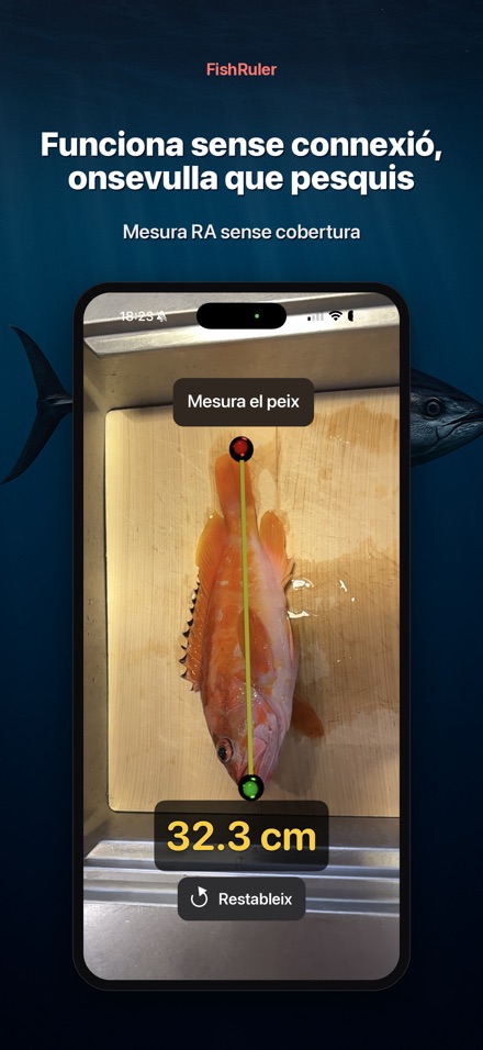 FishRuler: mesura peix AR 7