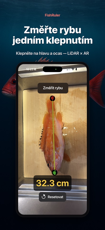 FishRuler: měření ryby AR