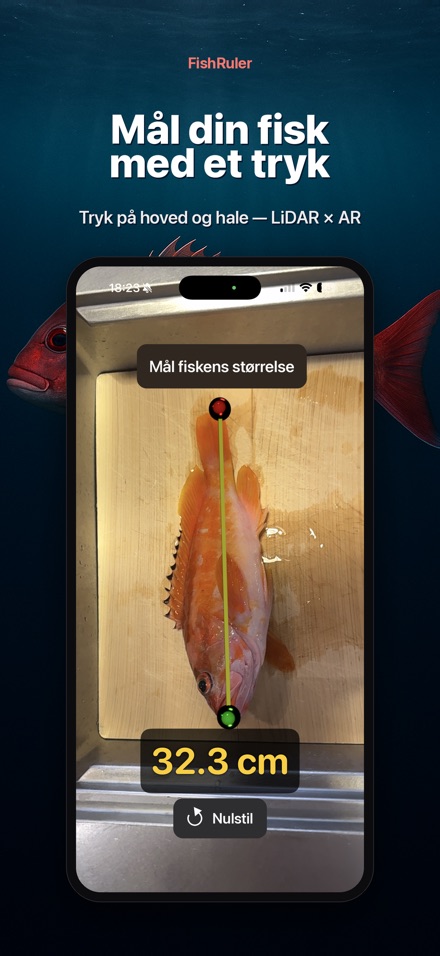 FishRuler: mål fisk i AR
