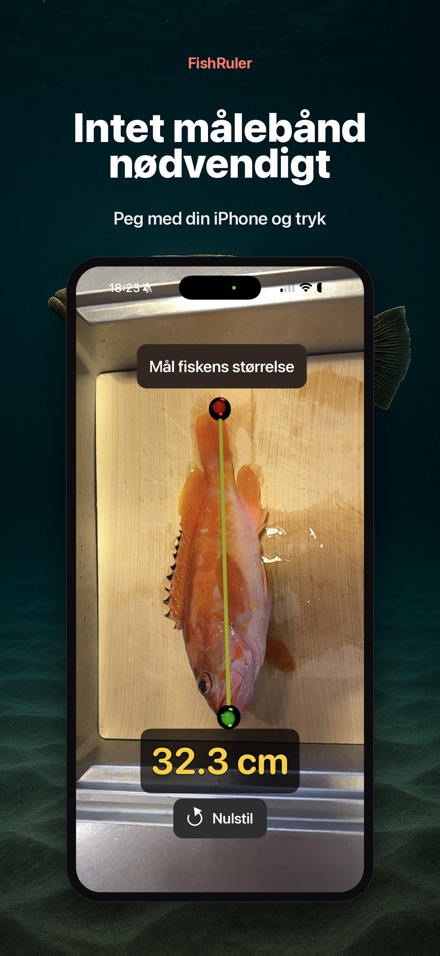 FishRuler: mål fisk i AR 4
