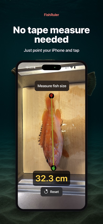 FishRuler: Fish Size Measure 4