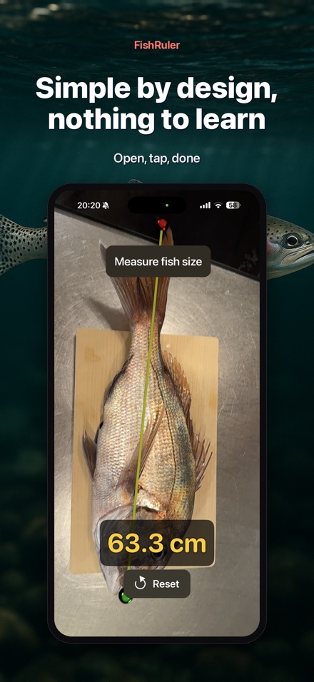 FishRuler: Fish Size Measure 9
