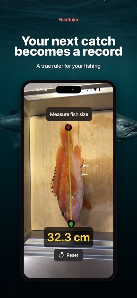 FishRuler: Fish Size Measure 10