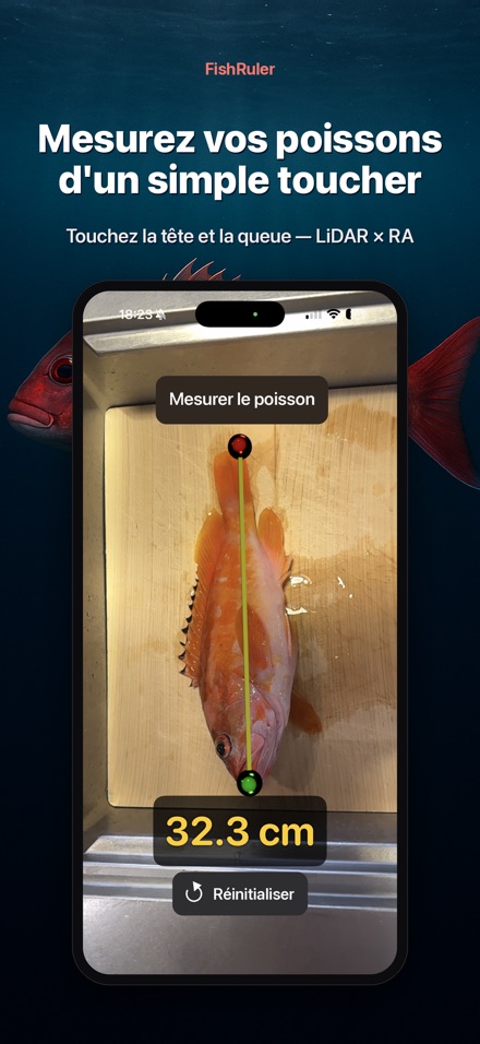FishRuler : mesurer poisson