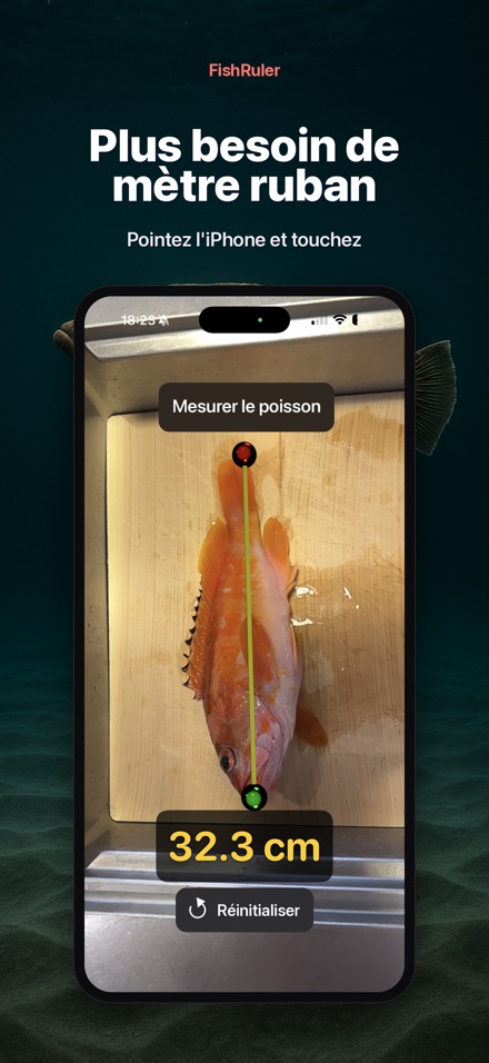 FishRuler : mesurer poisson 4