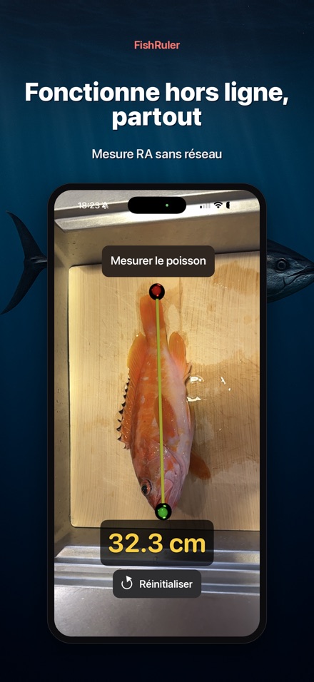 FishRuler : mesurer poisson 7
