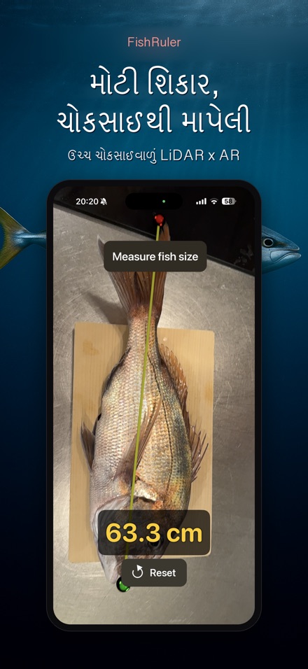 FishRuler: માછલી માપો 3