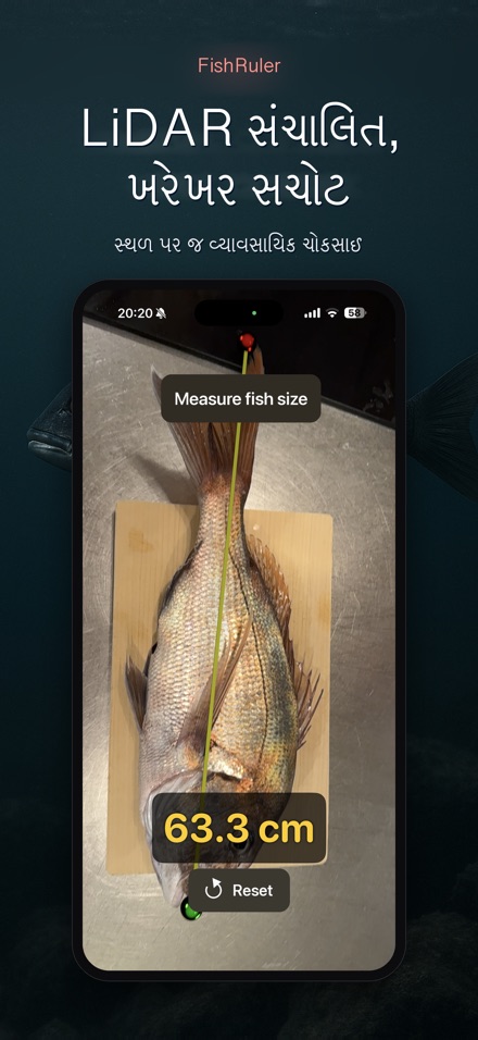 FishRuler: માછલી માપો 6
