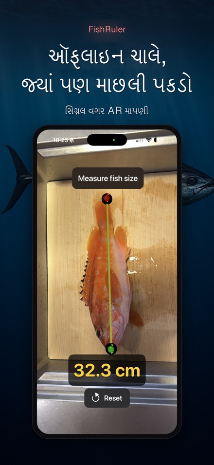 FishRuler: માછલી માપો 7