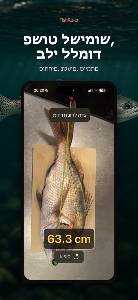 FishRuler: מדידת אורך דג 9