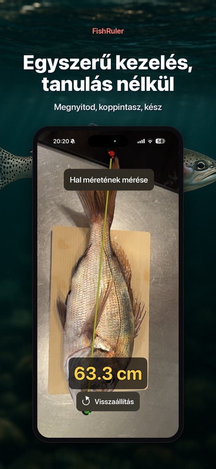 FishRuler: halmérés AR-ral 9