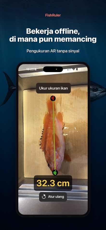 FishRuler: Ukur Panjang Ikan 7