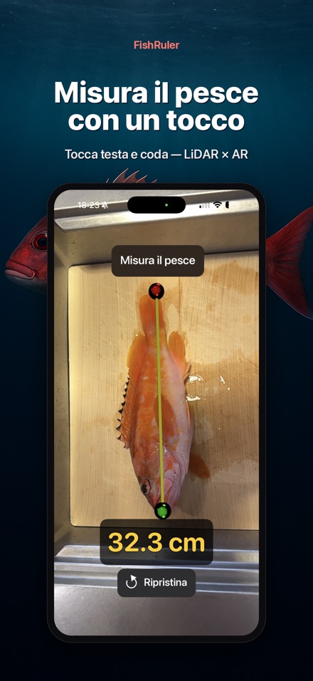 FishRuler: misura il pesce