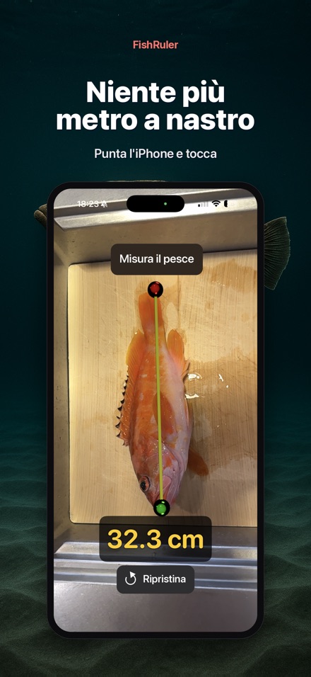 FishRuler: misura il pesce 4