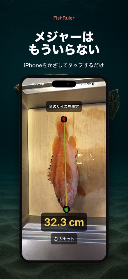 FishRuler：魚のサイズ計測 4