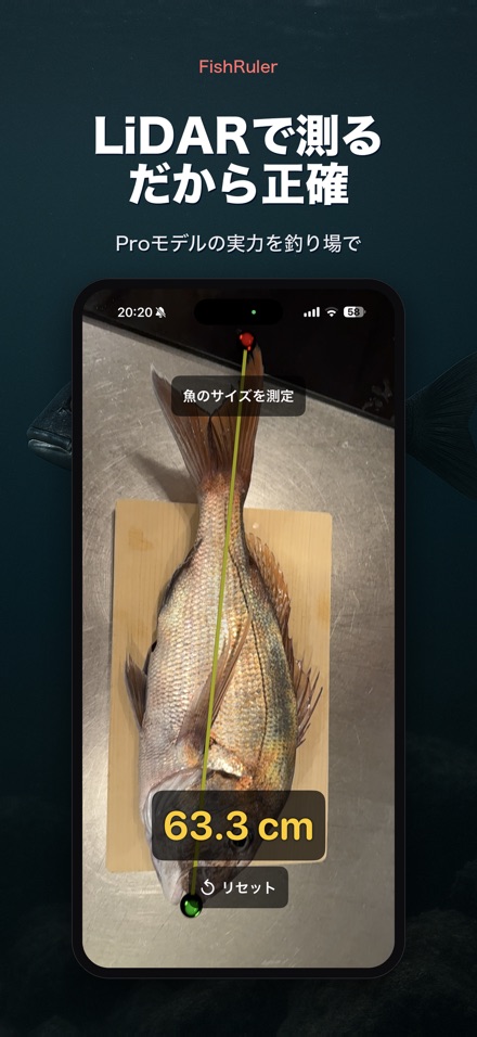 FishRuler：魚のサイズ計測 6