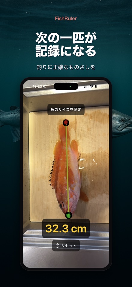 FishRuler：魚のサイズ計測 10