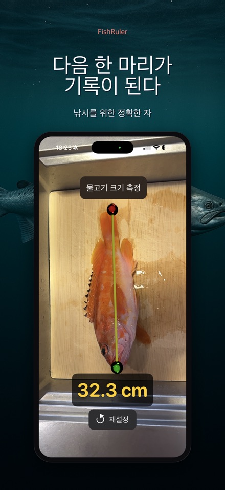 FishRuler: 물고기 크기 측정 10