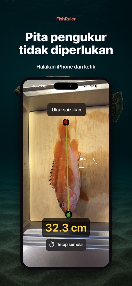 FishRuler: Ukur Panjang Ikan 4