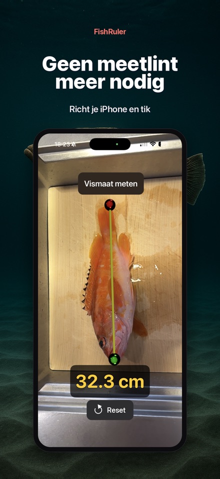 FishRuler: vis opmeten AR 4