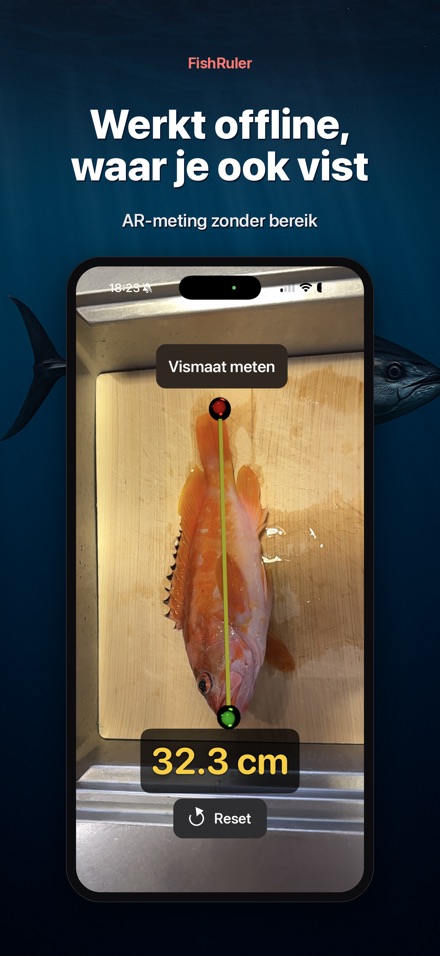 FishRuler: vis opmeten AR 7