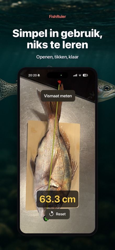 FishRuler: vis opmeten AR 9