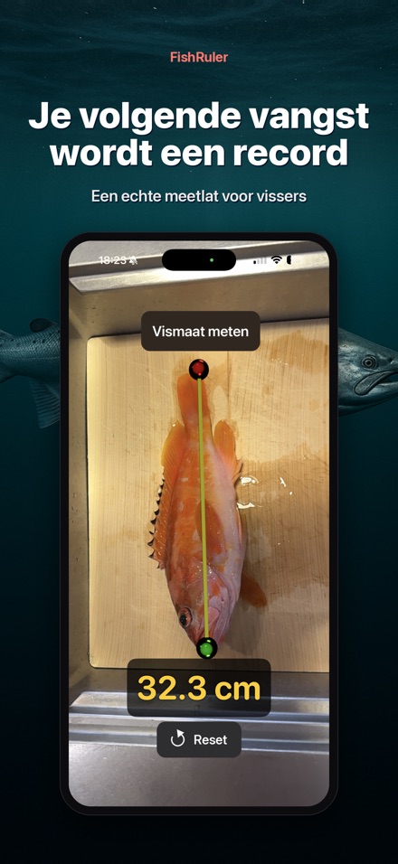 FishRuler: vis opmeten AR 10