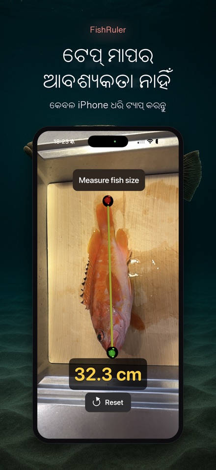 FishRuler: ମାଛ ମାପ 4