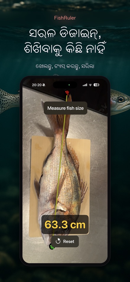 FishRuler: ମାଛ ମାପ 9