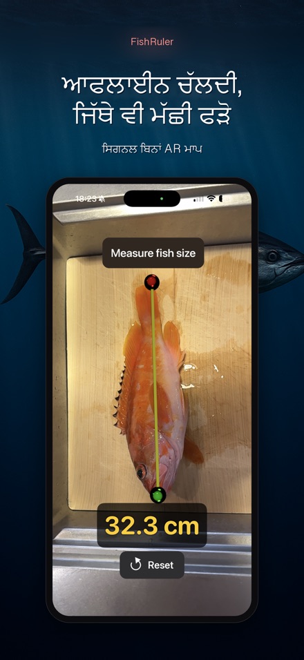 FishRuler: ਮੱਛੀ ਮਾਪ 7