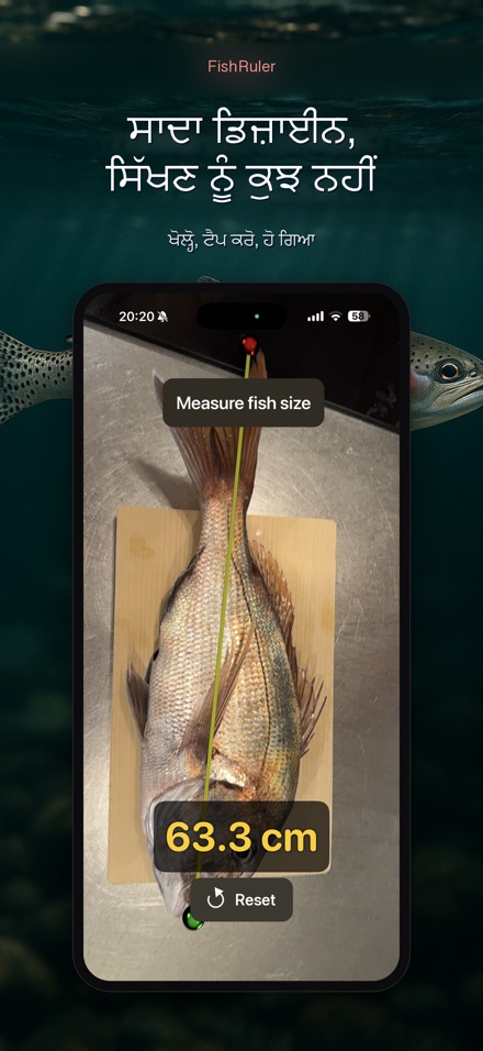 FishRuler: ਮੱਛੀ ਮਾਪ 9