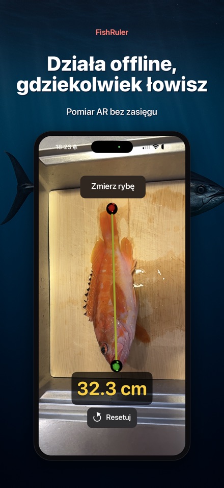 FishRuler: pomiar ryby AR 7