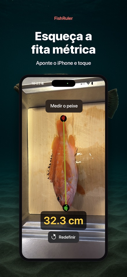 FishRuler: medir peixe 4