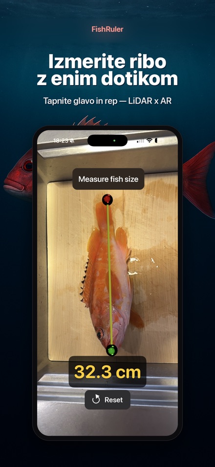 FishRuler: merjenje rib