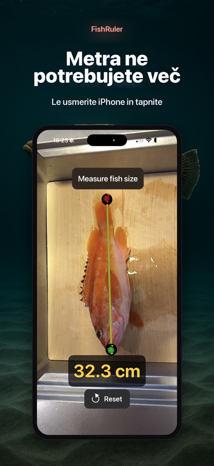FishRuler: merjenje rib 4