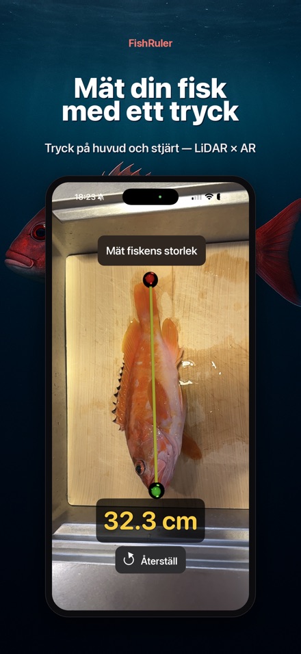 FishRuler: mät fisk i AR