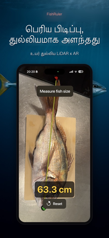 FishRuler: மீன் அளவை 3
