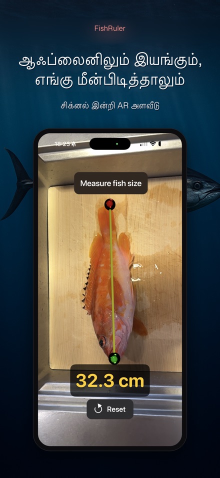 FishRuler: மீன் அளவை 7