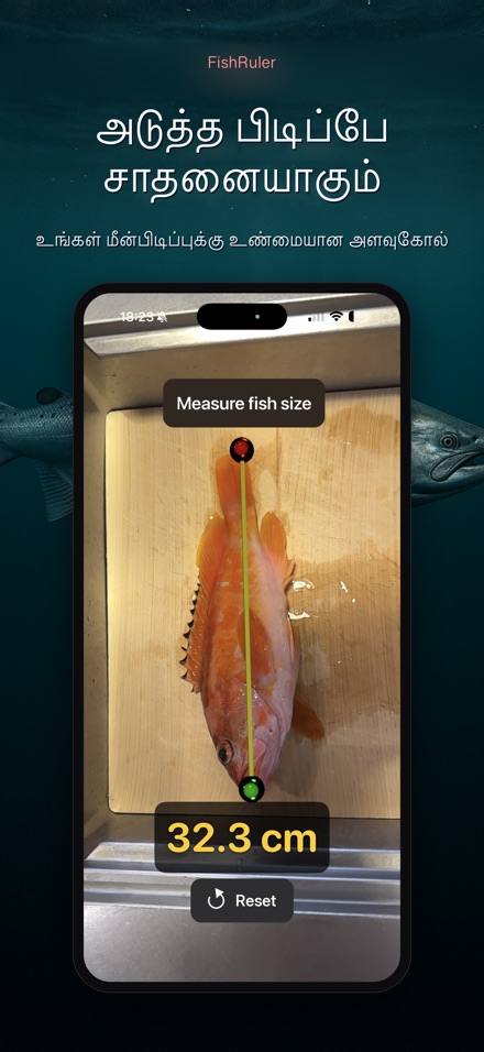 FishRuler: மீன் அளவை 10