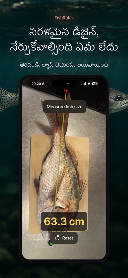 FishRuler: చేప కొలత 9