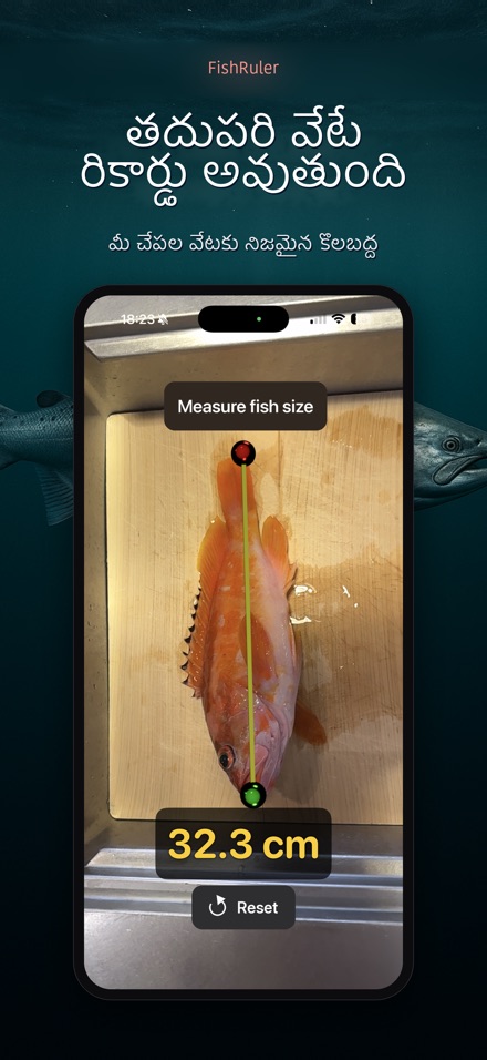 FishRuler: చేప కొలత 10