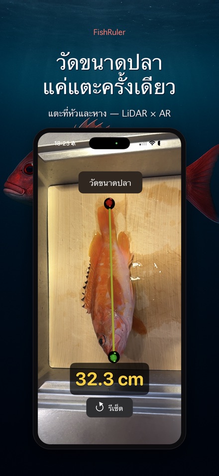 FishRuler: วัดขนาดปลา